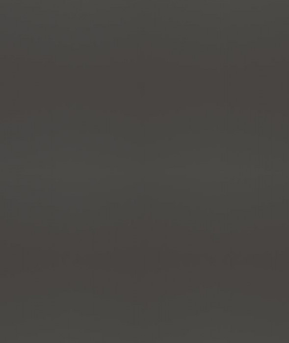 Ф-255 Альфа (ШВС 920х800) МДФ холст вулкан