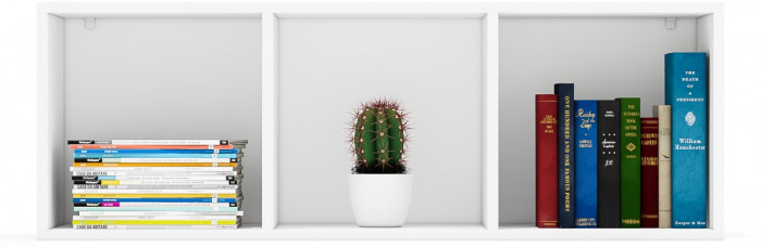 Лидер-8 Модуль Полка, цвет белый шагрень, ШхГхВ 115х30х40 см., может крепиться горизонтально или вертикально, можно ставить на пол, как стеллаж